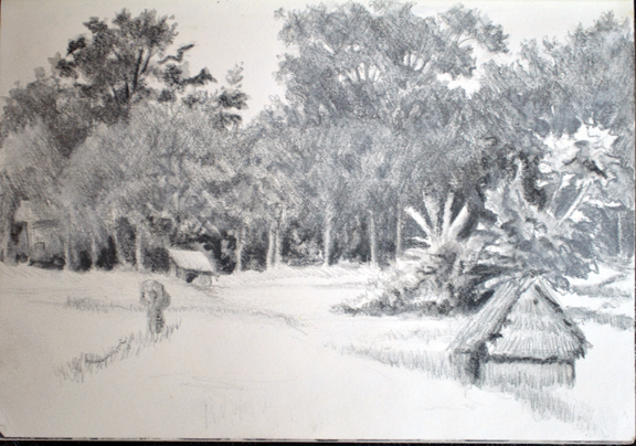 In the Rice Field, Ubud, Bali), graphite wash on paper, 5x7